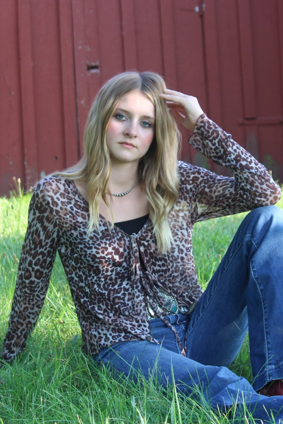 Leopard Print Sheer Mesh Long Sleeve Shirt